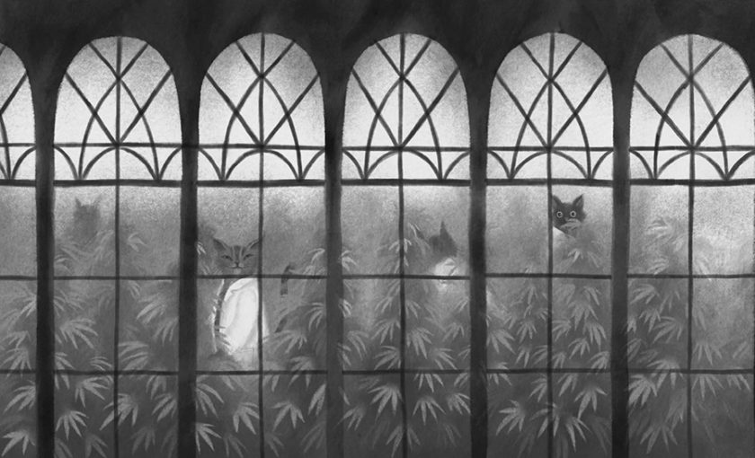 El divorcio de la gata blanca - Imagen 2